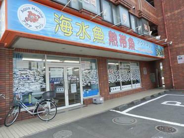 外観写真 外観写真