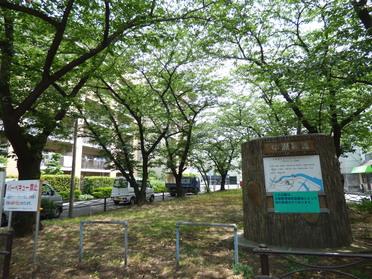 中瀬緑地①