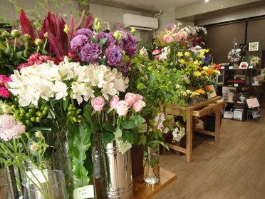様々な種類のお花がたくさんあります!
