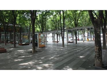 緑が多い憩いの広場です。