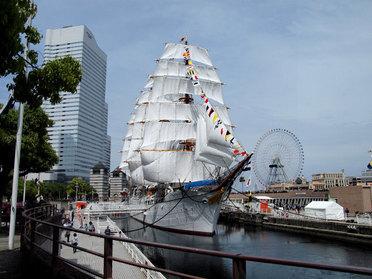 前回の時の写真