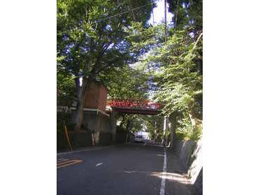 桜の季節は沢山の人が