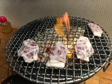 網ハツ