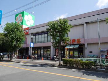 ライフ小川町店