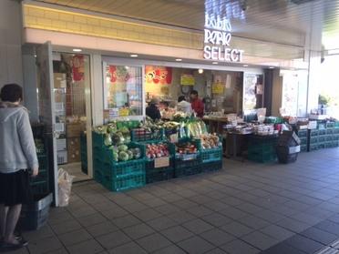 新鮮な野菜がもりだくさん!
