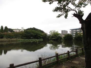 あいにくの天気ですが、落ち着ける空間です。