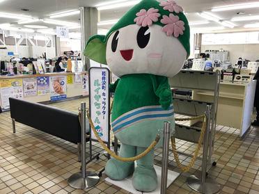 ルイザちゃん