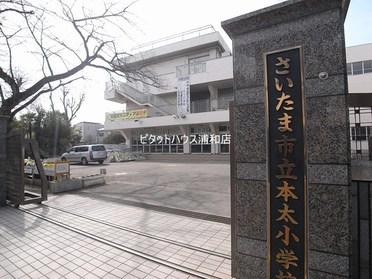 桜に囲まれた小学校
