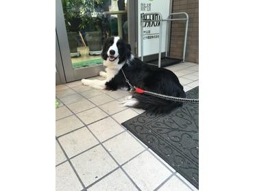 頂きました♪