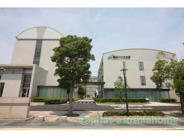 長浜バイオ大学