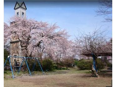 春には桜も楽しめ公園 春には桜も楽しめ公園