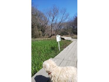 自然観察公園
