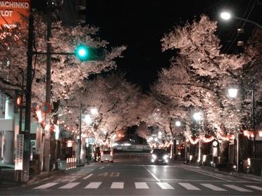 夜のライトアップ