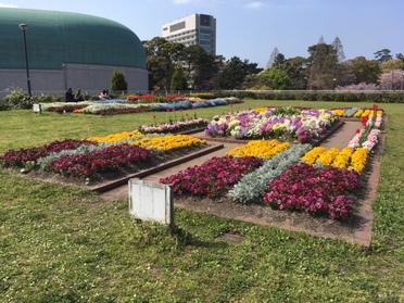 奥さんと公園へ行きました 奥さんと公園へ行きました