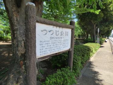 つつじ公園外観