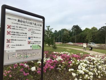 ペットのお散歩におすすめです!