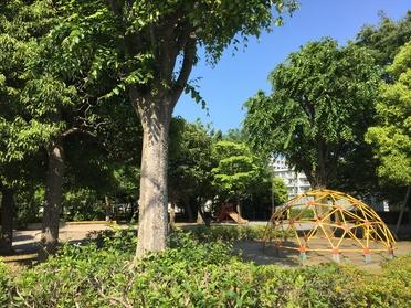 住宅街と緑で囲まれた公園