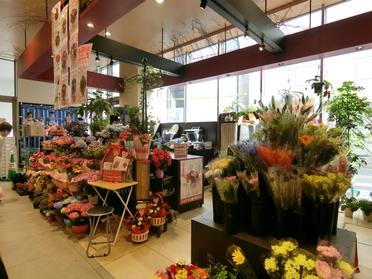 いつも綺麗にお手入れされたお花がたくさん☆