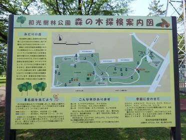 広さに感動した案内図