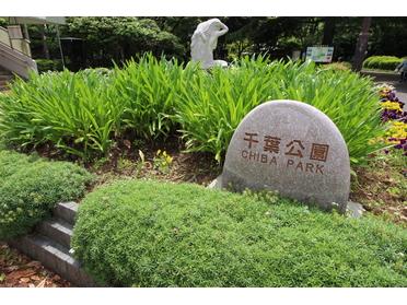 千葉都市モノレール「千葉公園駅」からすぐです!