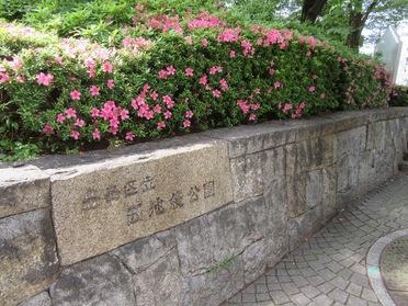 入口