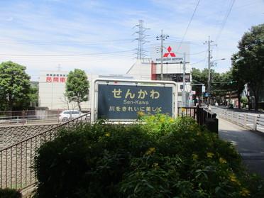せんかわ