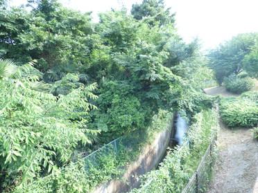 桔梗ヶ原緑地