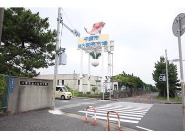 卸売市場①