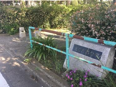 公園①