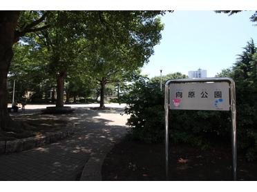 向原公園