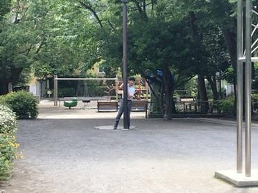 公園でひょっこり
