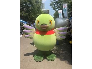 かいちゃんがいました!