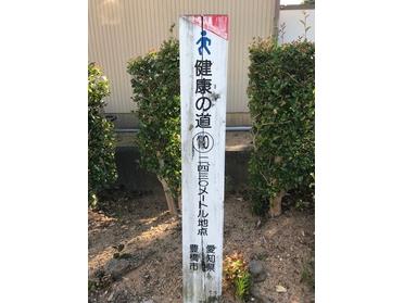 健康の道