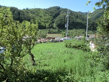 山と木津川