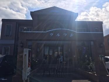ウルワシ一ツ葉店