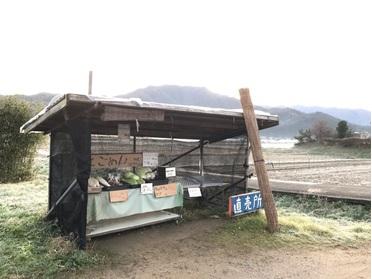 『安くてごめん』