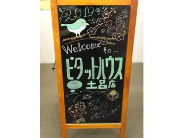 おまめちゃんヒーローを探せ!