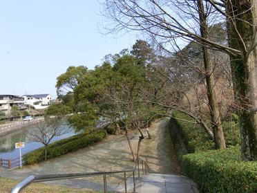 池の周りをウォーキング