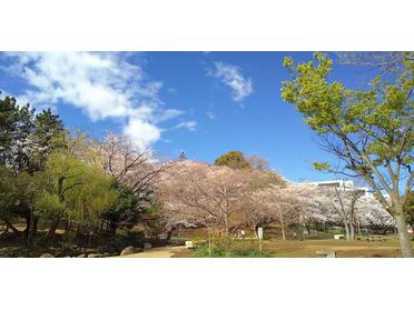 梶ヶ谷第一公園