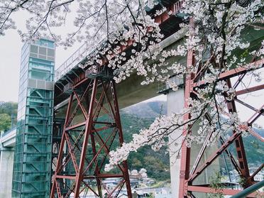 桜と余部鉄橋