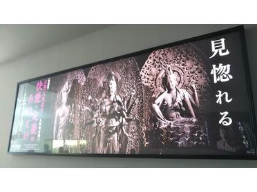 見惚れる
