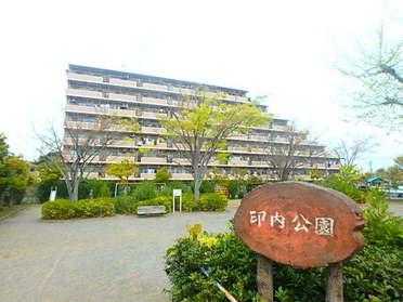 とても広い公園です。