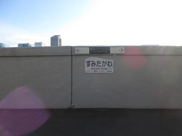 階段で上がります♪