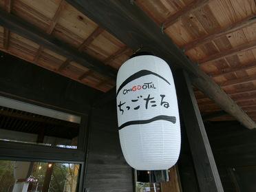 ちっごたる