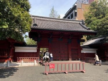 東京大学
