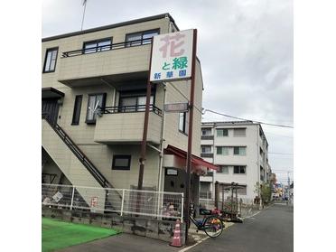 建物外見
