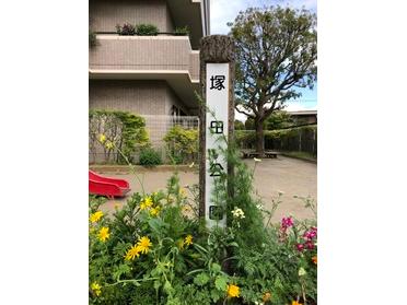 お花に囲まれた公園です。