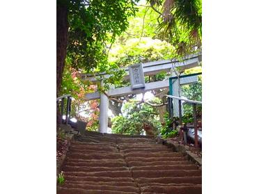 住宅街の中に位置する神社です。
