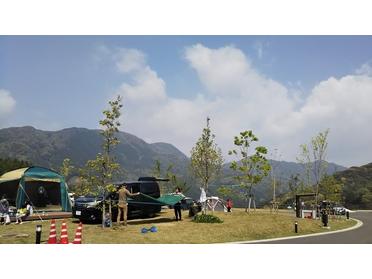 キャンプ場