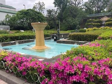 公園